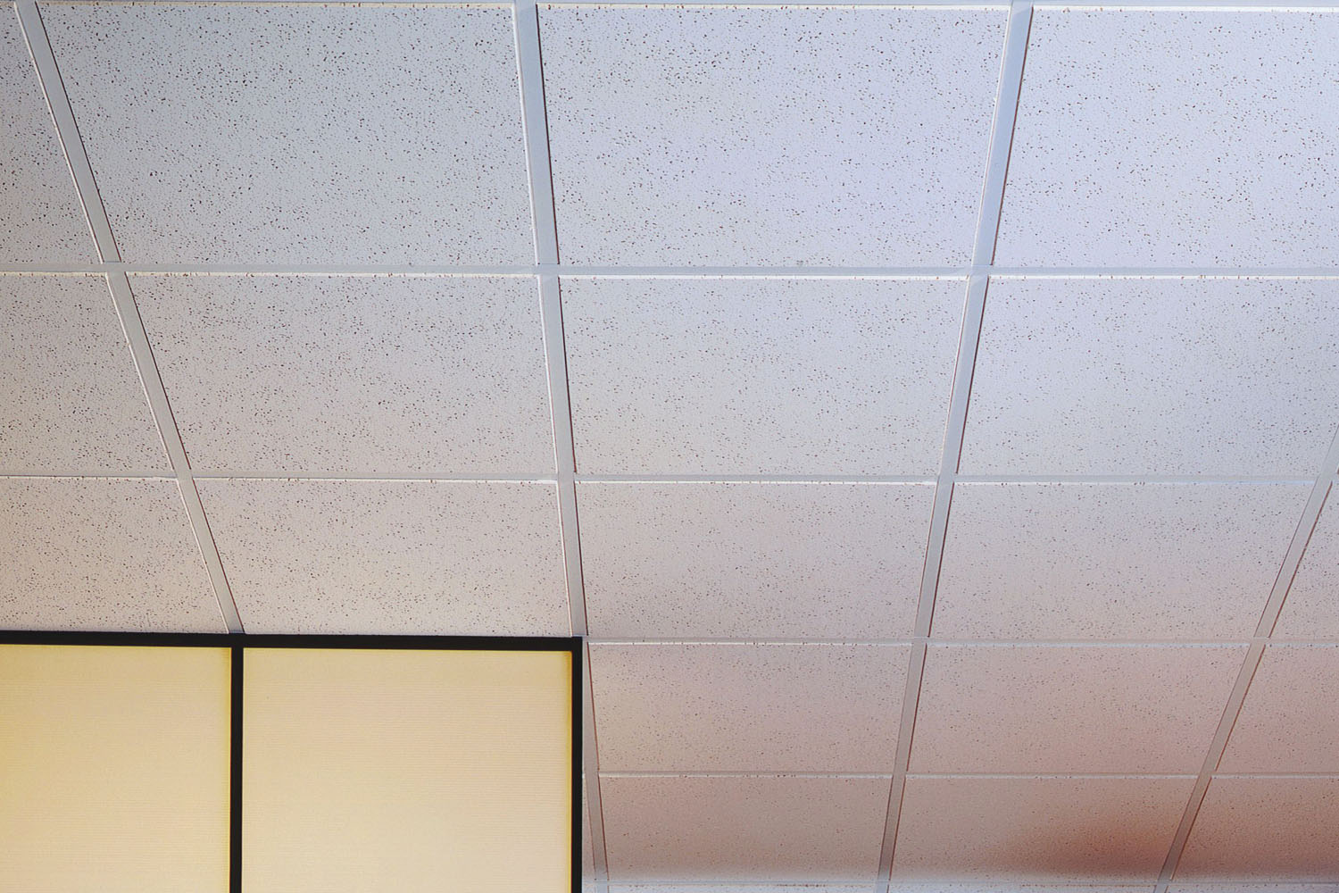 الأسقف الصوتية أولمبيا مايكرو™